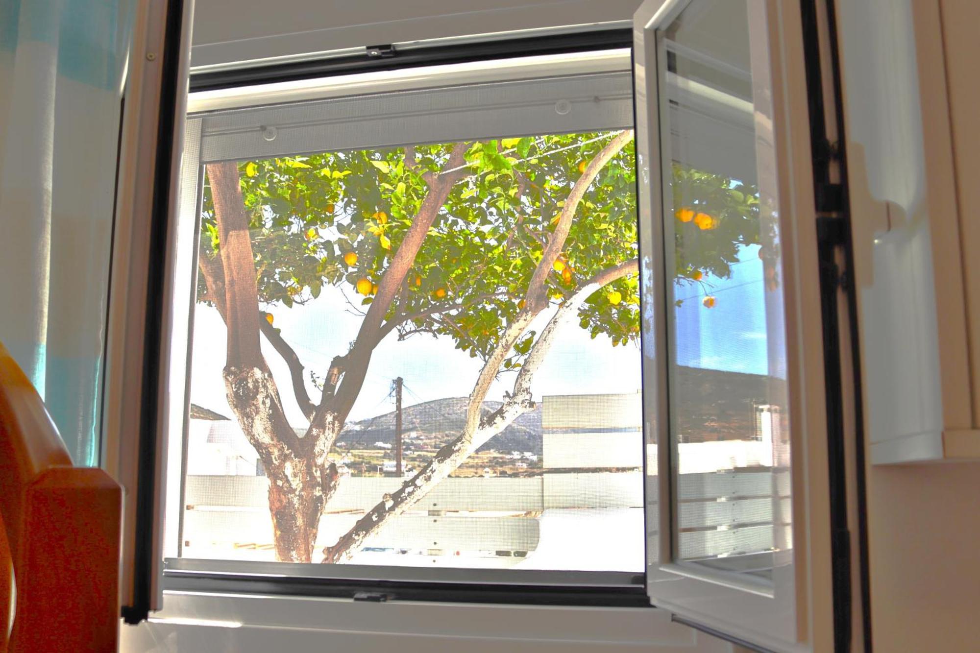Lemon Tree Maisonette - Naoussa Paros Exterior foto